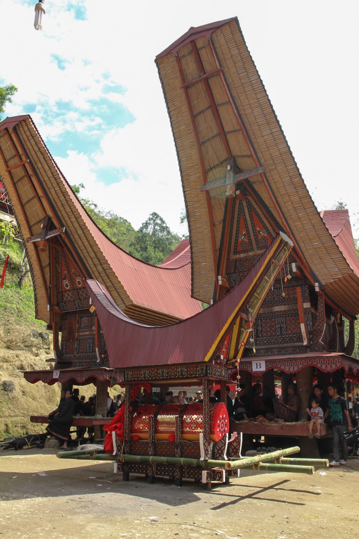 Traditional houses and coffin, Sulawesi